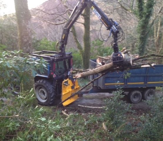Cosgrove Tree Services