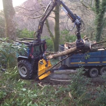 Cosgrove Tree Services