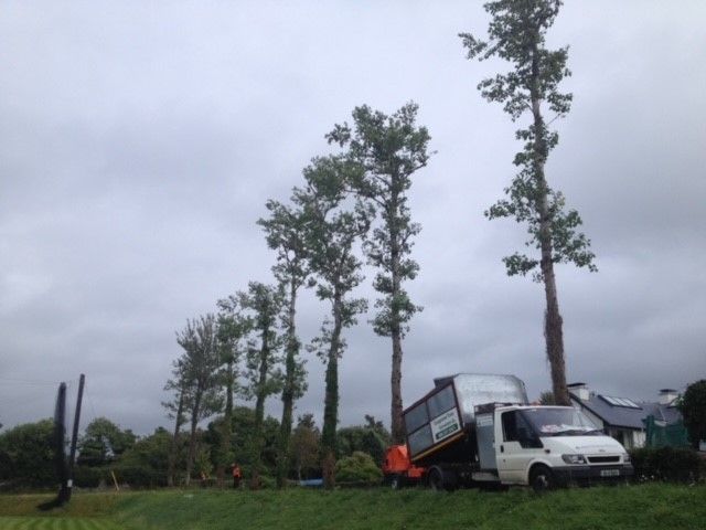 Cosgrove Tree Services