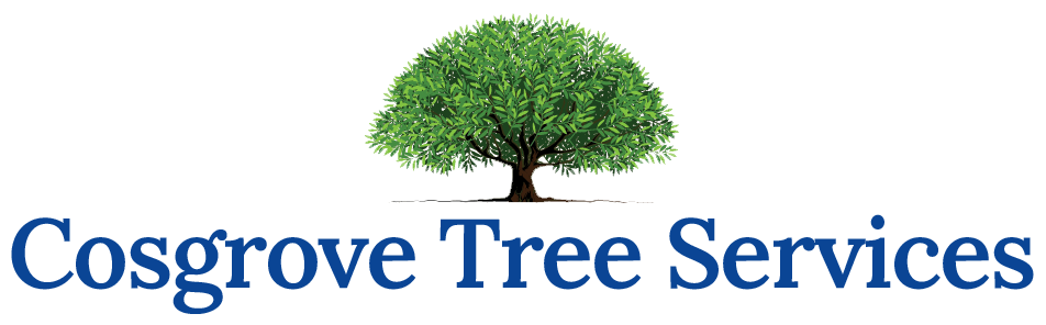 Cosgrove Tree Services