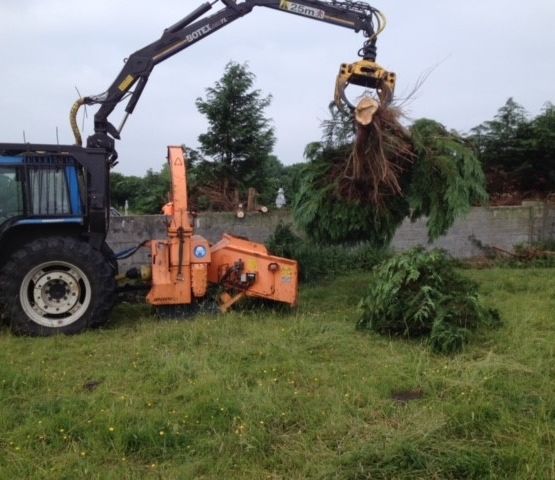 Cosgrove Tree Services