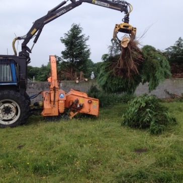 Cosgrove Tree Services