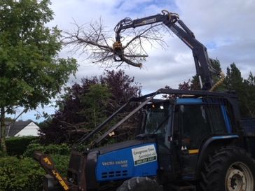 Cosgrove Tree Services