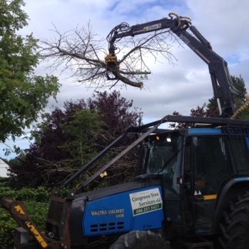 Cosgrove Tree Services